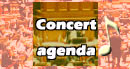 Concert