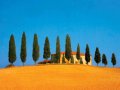 Toscane