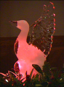 No buffet is complete without the icebird.