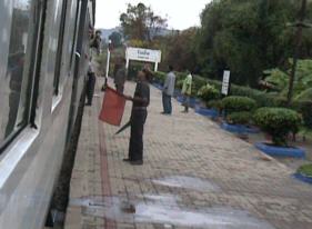 Sights from the train