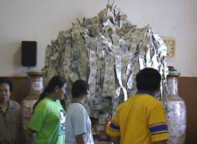 Money grows on trees in Thailand.