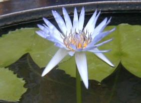 Surely it-s hot enough...