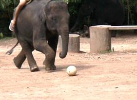 ... his little brother qualifying for PSV.