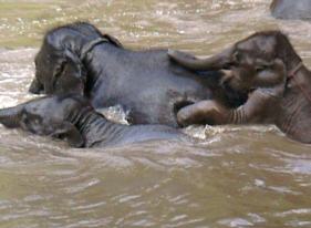 This scene was inspired by the PSO-audience.